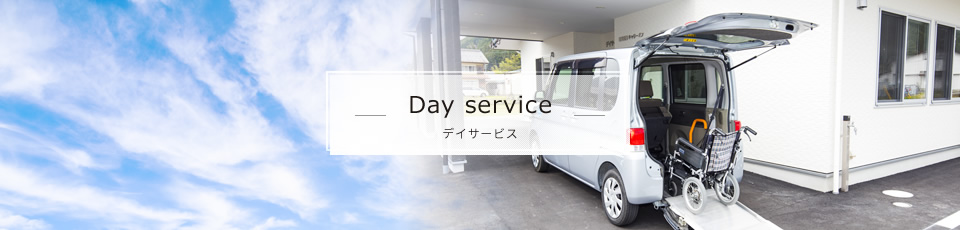 Day service