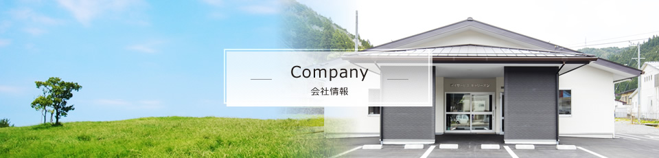Company